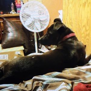 Meet your Posher, Teagan